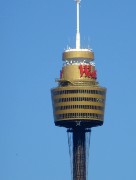 499  Sydney Tower.JPG